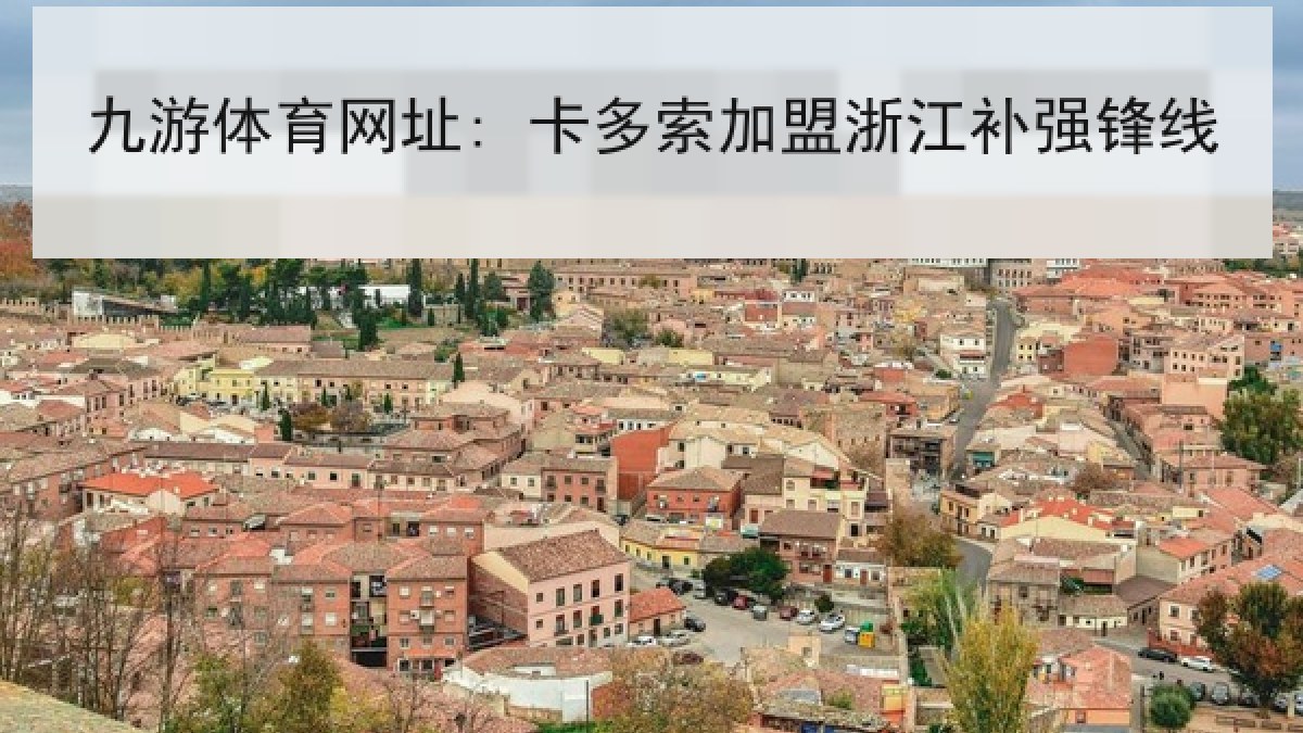 九游体育网址: 卡多索加盟浙江补强锋线